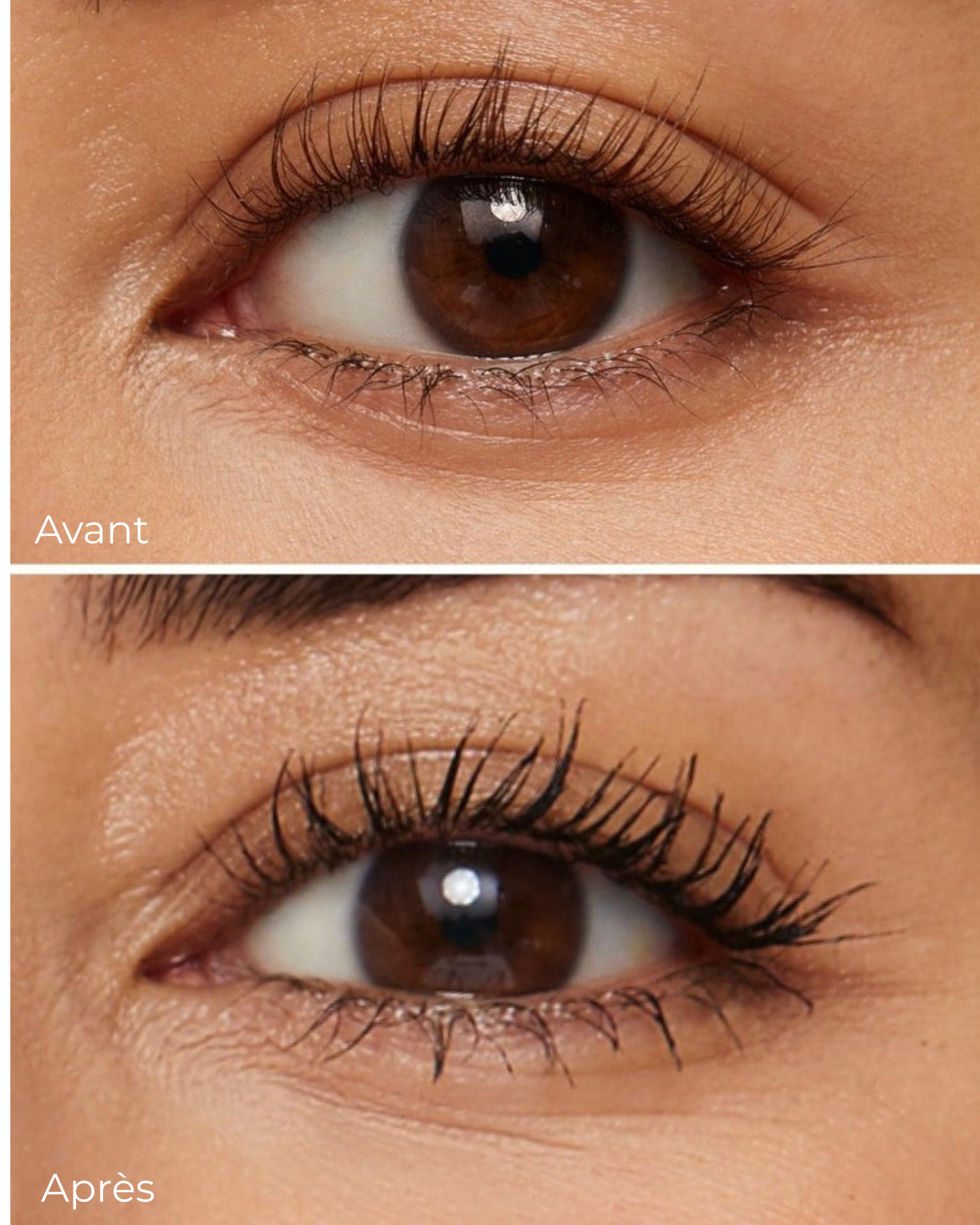 Sérum croissance sourcils